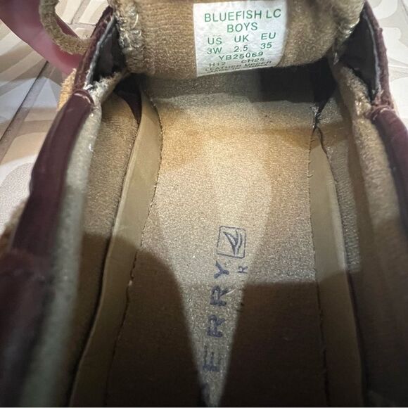 Sperry Shoes - Picture 7 of 10